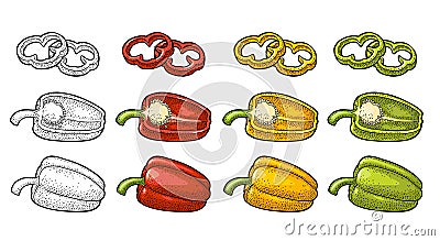 Sweet bell pepper. Vector vintage engraved illustration Vector Illustration