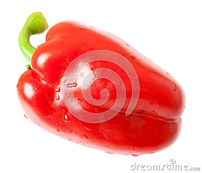 Sweet bell red pepper Stock Photo