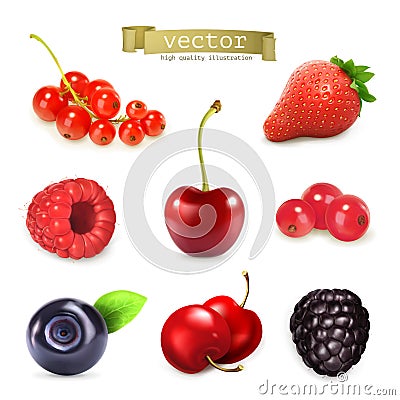 Sweet berries, vector illustration Vector Illustration