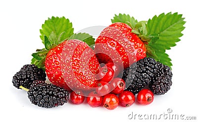 Sweet berry Stock Photo