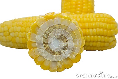 Sweet boiled corn Stock Photo