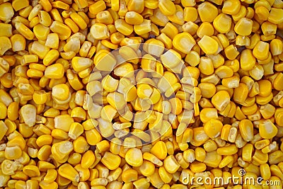 Sweet canned corn texture background Stock Photo