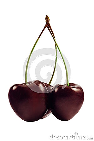 Sweet cherries Stock Photo