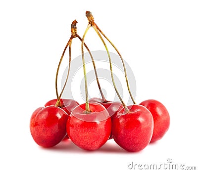 Sweet cherry Stock Photo