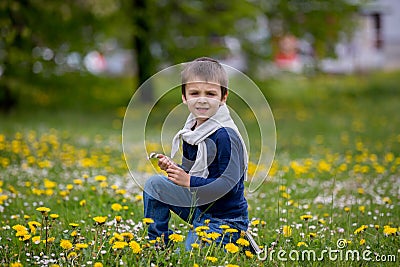 Sweet child, boy, gathering dandelions and daisy flowers Stock Photo