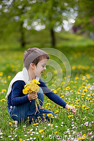 Sweet child, boy, gathering dandelions and daisy flowers Stock Photo