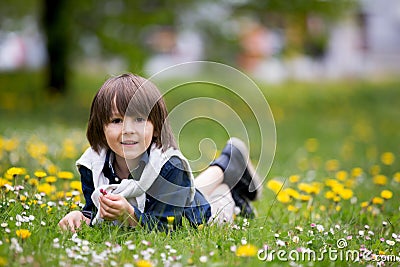 Sweet child, boy, gathering dandelions and daisy flowers Stock Photo