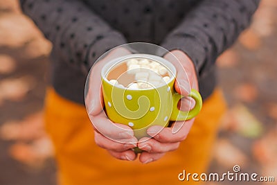 Sweet cocoa with marshmallow in female hands Stock Photo