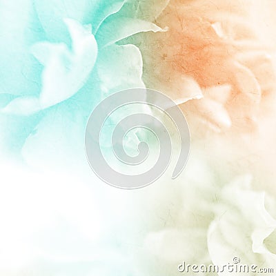 Sweet color roses flower in soft and blur style on mulberry paper texture Stock Photo