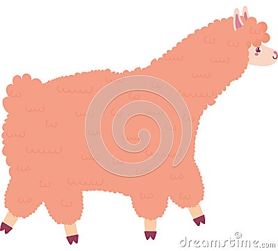 sweet colored llama Vector Illustration