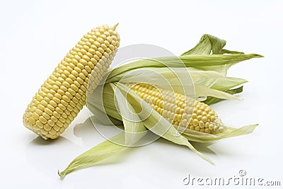 Sweet Corn Cobs Stock Photo