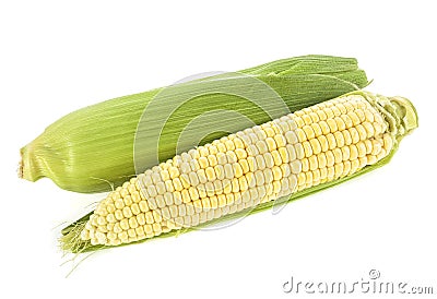 Sweet corn with shell on white background. Corn cobs Stock Photo