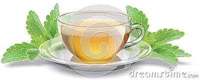 Tea cup with stevia leaves Stock Photo