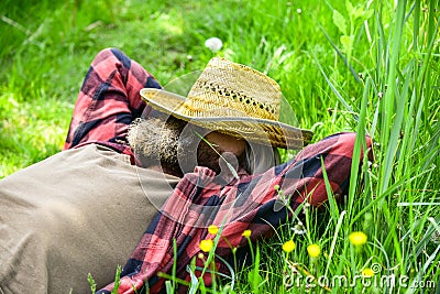 Sweet dreams. ranch hipster wear checkered shirt. farming and agriculture. relaxed farmer in straw hat. mature man Stock Photo