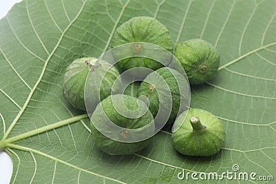 Sweet and exotic green color fruit Stock Photo
