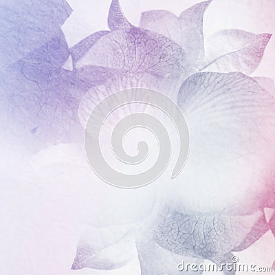 Sweet flowers in vintage color style on mulberry paper texture Stock Photo