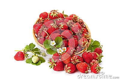 Sweet, fragrant strawberries in a wicker basket Stock Photo