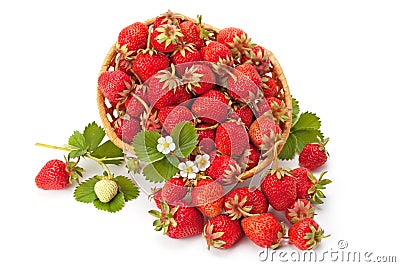 Sweet, fragrant strawberries in a wicker basket Stock Photo