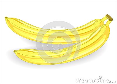 Sweet fresh bananas. Fruits for every taste. Exquisite food. The source of vitamins and trace elements. Vector illustration Cartoon Illustration