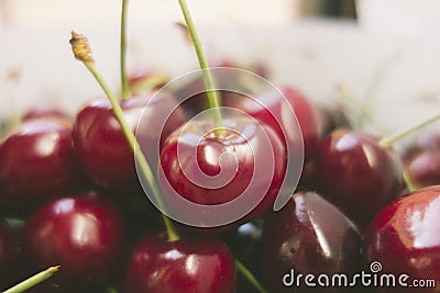 Sweet fresh cherries in film style Stock Photo