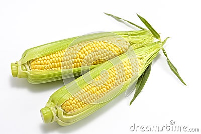 Sweet fresh corn Stock Photo