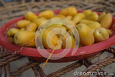 Sweet fruit Dates yellow Asian Iran Baluchistan food fresh palm tree middle east nutrition Stock Photo