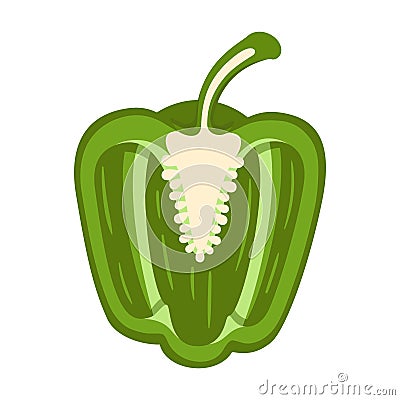 Sweet green bell pepper Vector Illustration