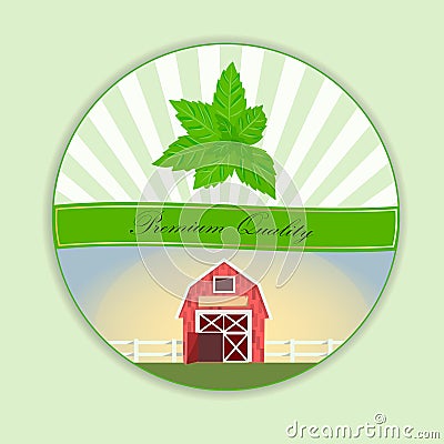 Sweet green mint Vector Illustration