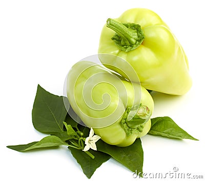 Sweet green papper Stock Photo