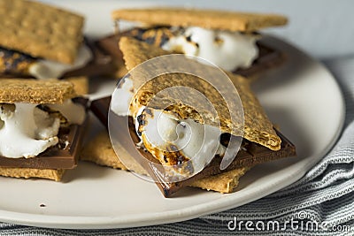 Sweet Homemade Chocolate Smores Dessert Stock Photo