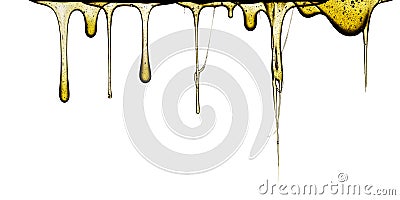 Sweet honey dripping Stock Photo