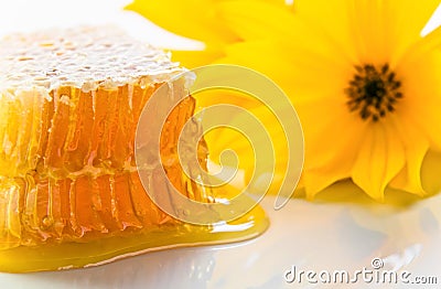 Sweet honeycomb with honey Stock Photo