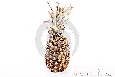 Sweet isolated ananas pineapple Stock Photo