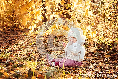 Sweet kid sitting on the autumn leaves Stock Photo