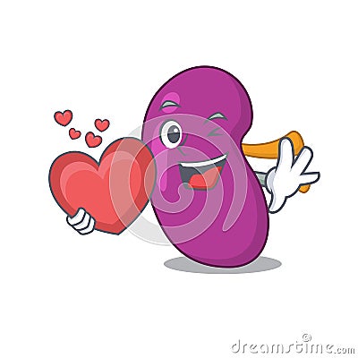 A sweet kidney cartoon character style holding a big heart Vector Illustration