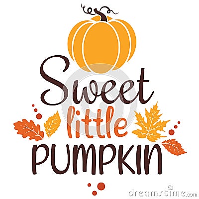 Sweet little pumpkin vector illustration with cute pumpkin. Vector Illustration