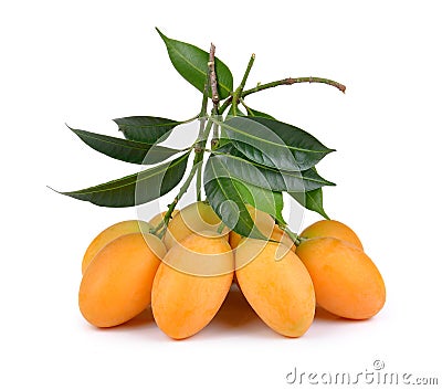 Sweet marian plum thai fruit isolated on white backgroun Stock Photo