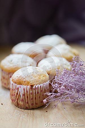 Sweet muffins with cottage cheese with powdered sugar Stock Photo