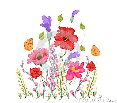 Sweet pea flowers, watercolor Vector Illustration