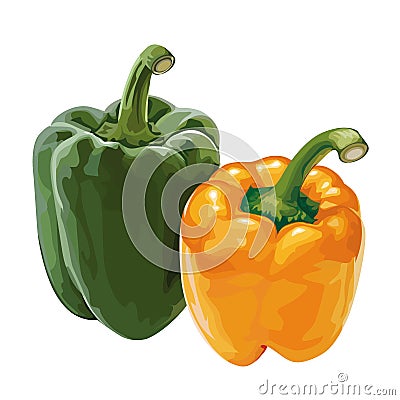 Sweet pepper, paprika Vector Illustration