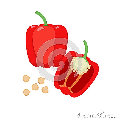 Sweet pepper vector flat illustration. Whole and halved red bell pepper and seeds isolated on white background Vector Illustration