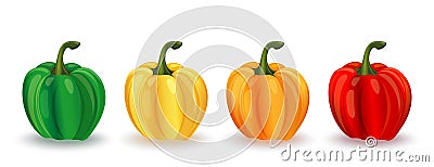 Sweet peppers of different colors isolated on white Vector Illustration