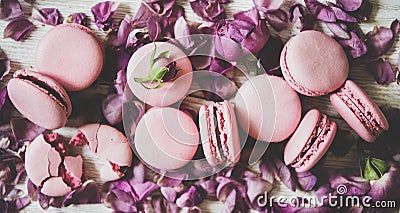 Sweet pink macaron cookies and rose buds and petals, close-up Stock Photo