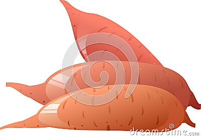 Sweet Potato Vector Illustration