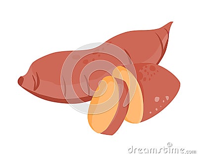 Sweet potato vector.Sweet potato illustration Vector Illustration