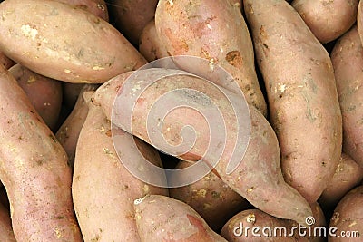 Sweet potatoes Stock Photo