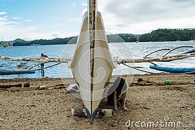 A sweet puppy found on the beach next to secret lagoon Editorial Stock Photo