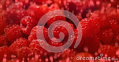 Sweet raspberry background many berries banner Stock Photo