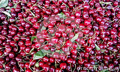 Sweet red cherries Stock Photo