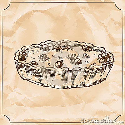 Sweet retro pie with berries. Treat for the birthday. Vector hand drawn illustration. Vector Illustration